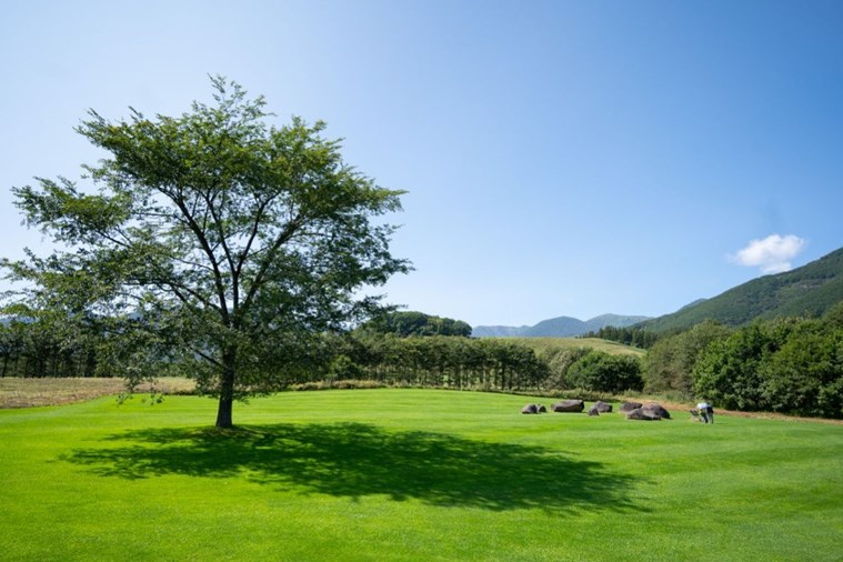 Tour Nhật Bản Bay Thẳng Hokkaido - Sapporo - Otaru - Furano - Asahikawa 6N5D từ Hà Nội